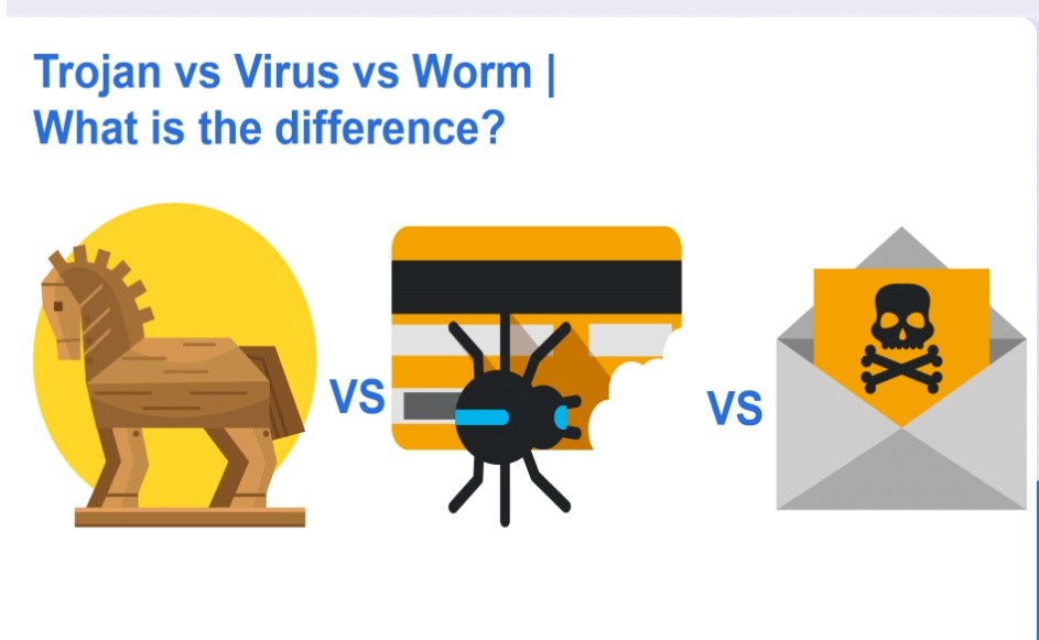 Why are some computer viruses called shop trojan horses